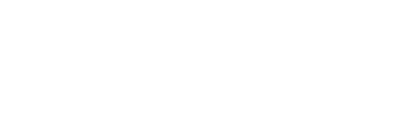 Legion ICE logo blanc - Frigoriste expert chambre froide climatisation dépannage Île-de-France Paris