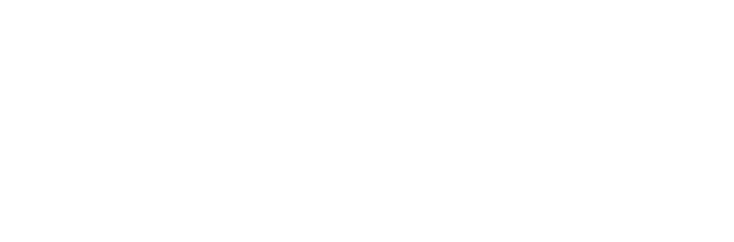 Legion ICE logo blanc - Frigoriste expert chambre froide climatisation dépannage Île-de-France Paris